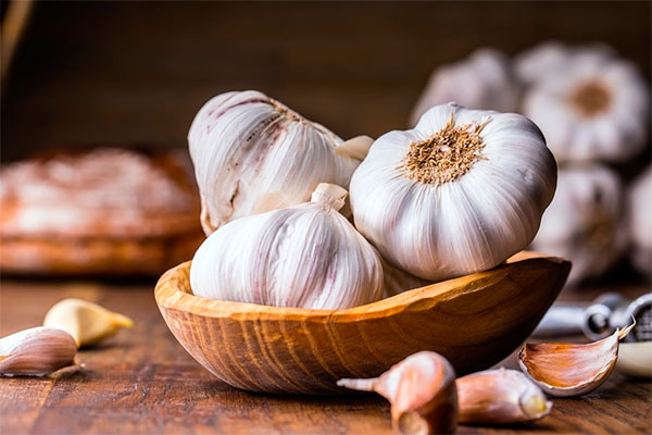 ajo