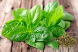 albahaca