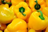 morron_amarillo