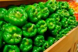 morron_verde