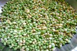 guandules