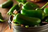 jalap_verdes