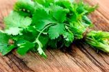 perejil_liso