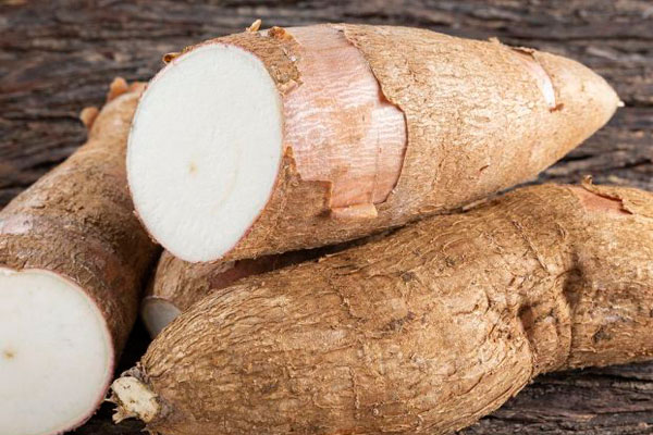 yuca